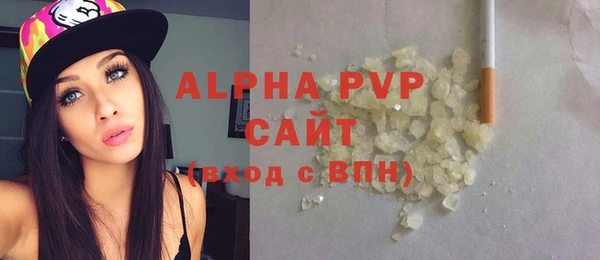 индика Арсеньев