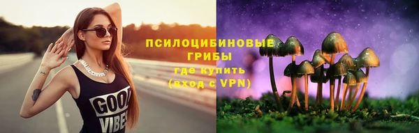 гашик Армянск