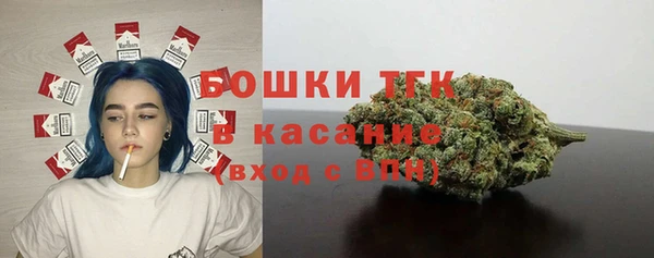 индика Арсеньев