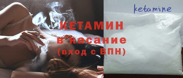 индика Арсеньев