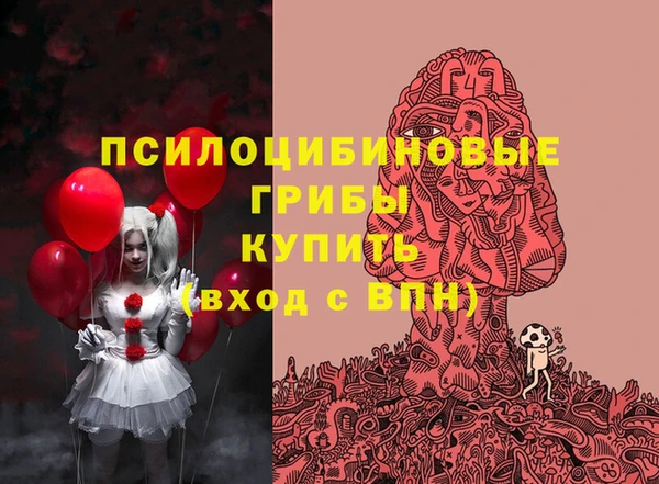 гашик Армянск