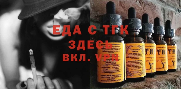 индика Арсеньев