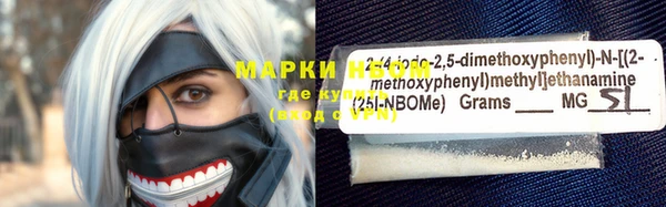 индика Арсеньев