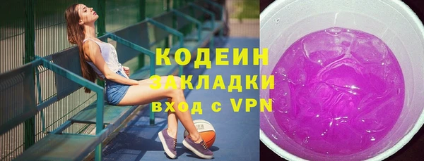 индика Арсеньев
