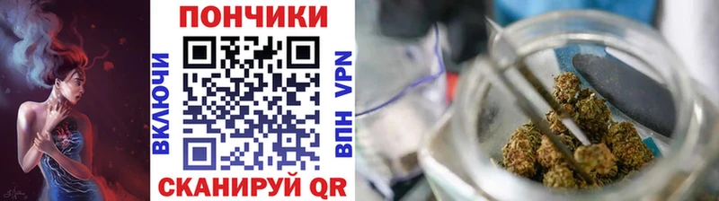 Конопля индика  где найти   Лукоянов 